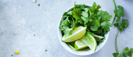 Coriander and Mint Chutney
